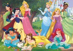 Disney Princesses Wallpaper Meme Template