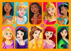 Disney Princesses Icon Profile Meme Template