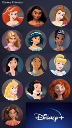 Disney Princesses Icon Profile Meme Template