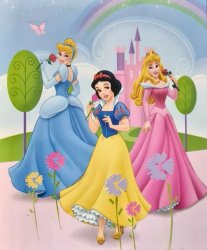 Disney Princesses Wallpaper Meme Template