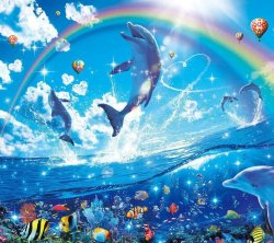 Rainbows and Dolphins Meme Template