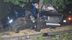 violent car wreck, toyota PU wrapped around tree Meme Template