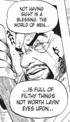 not having sight is a blessing Meme Template