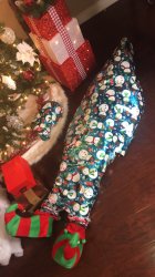 Body under Christmas tree Meme Template