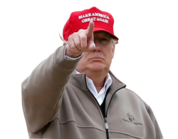 Trump Pointing Meme Template