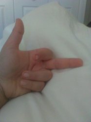 MIDDLE FINGER Meme Template