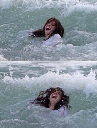 swimming Meme Template