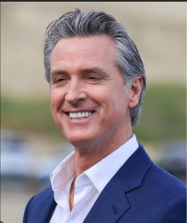 Newsom Bobble Head Meme Template