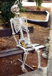 Waiting Skeleton Meme Template