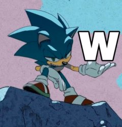 W sonic Meme Template