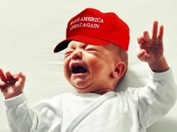 Crying MAGA Baby Meme Template