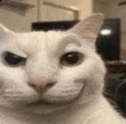 Smirking Cat Meme Template