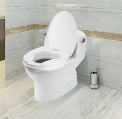 toilette Meme Template