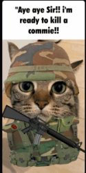AYE AYE SIR! READY TO KILL A COMMIE Meme Template