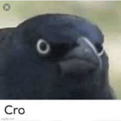 cro Meme Template