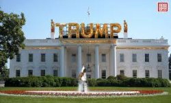 International crime syndicate HQ in D.C. - Trump White House Meme Template