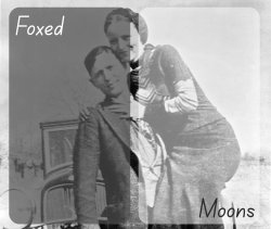 Foxed n Moons - Bonnie and Clyde temp Meme Template