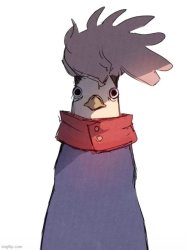 yuji chicken Meme Template
