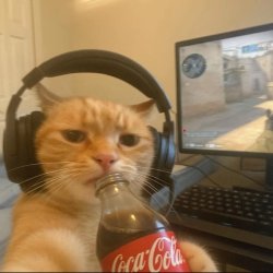 cat car coke cs counterstrike headphone Meme Template