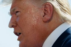 Sweaty Trump Orange Meme Template