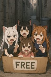 cute little hissing neko girls in acardboard box in the alley Meme Template
