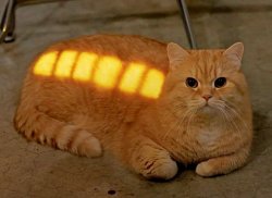 charged cat Meme Template