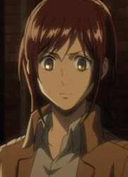 sara Meme Template