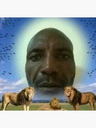 Bald lions Meme Template