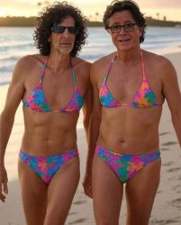 Howard Stern & Stephen Colbert Meme Template