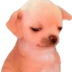 Perrito Pedillos Meme Template