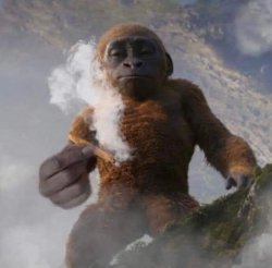 Monkey pass the blunt Meme Template