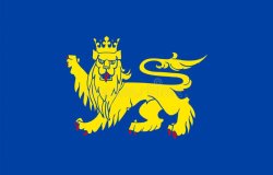 Coty Flag Uppsala Meme Template