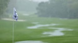 raining on golf course Meme Template