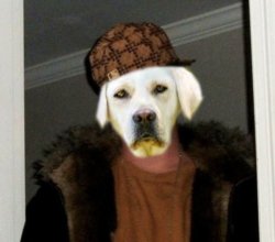 Dbag Doggo Meme Template