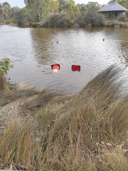 Traffic cones in water Meme Template