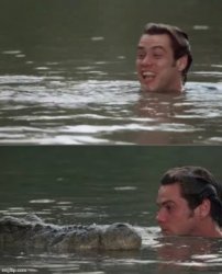 Jim carrey Crocodile meme Meme Template