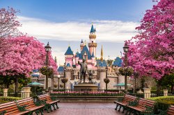 Family Fun at Disneyland® Park | Dining & Experiences Meme Template