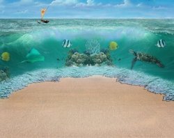 Moana Inspired Digital Backdrop - Etsy Norway Meme Template