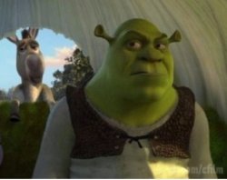 Shrek and Donkey Carriage Meme Template