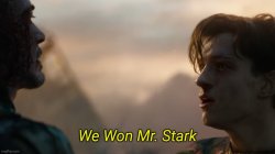 We Won Mr. Stark Meme Template