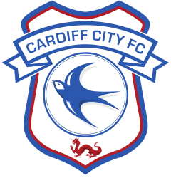 Cardiff City Meme Template