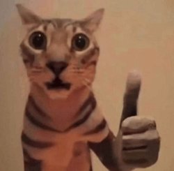 Cat thumb Meme Template