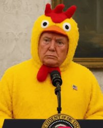 TACO Trump Meme Template