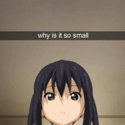 Why is it so small? Meme Template