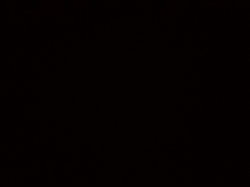 San bushman Meme Template