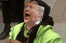 Trump NOO Meme Template