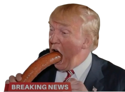 Donald Trump - Sucks Meme Template