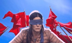 bird box red flag Meme Template
