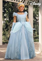 Amazon.com: Fun Costumes Disney Premium Cinderella Dress for Wom Meme Template