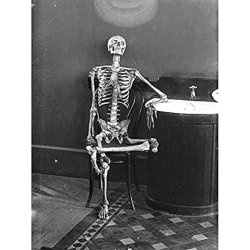 Skeleton in chair Meme Template